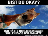 Bist du okay