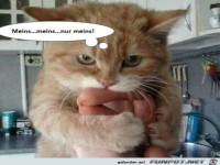 Das gebe ich nicht her