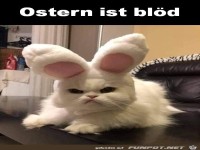 Ostern ist blöd