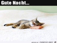 Gute Nacht
