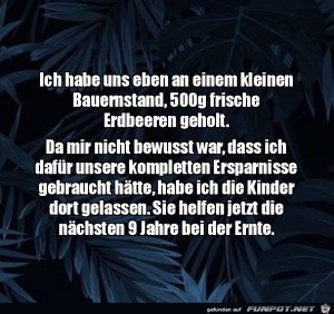 Ziemlich-teure-Erdbeeren.jpg auf www.funpot.net