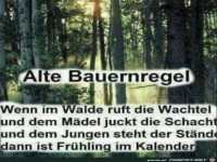 Bauernregel