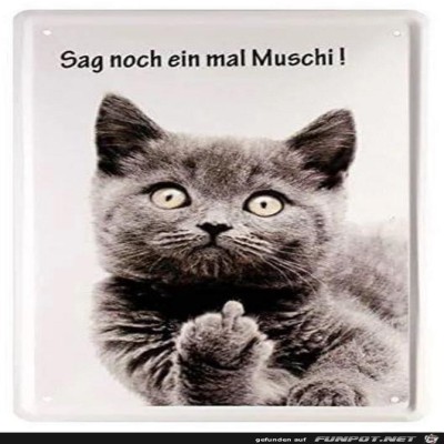 Muschi.jpg von Keule56