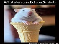 H�bsches Eis