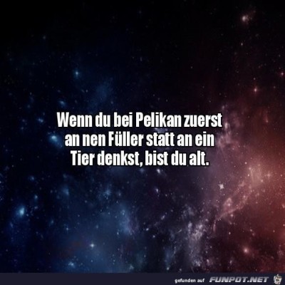 Pelikan.jpg von Keule56