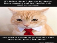 Katzenpassfoto sorgt f�r Lacher