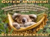 weiter