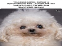 Wenn der Kater auf Reparaturbier wartet