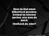 Silberfisch-Schreck im Bad