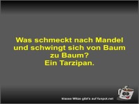 Was schmeckt nach Mandel und schwingt sich von Baum zu Baum?