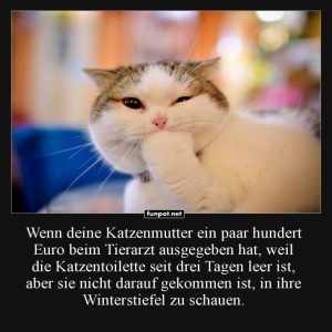 Katzenpl�ne:-Stiefel-als-stille-�rtchen.jpg von Josie-96