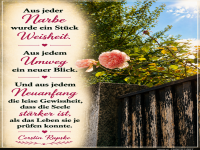aus jeder narbe