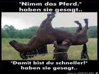 Nimm das Pferd