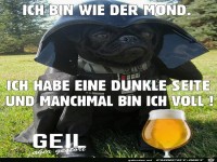 Ich bin wie der Mond...