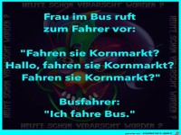 Busfahrer
