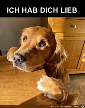 Lieber-Hund.jpg auf www.funpot.net