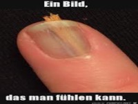 Ein Bild,das man f�hlen kann