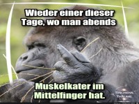 Wieder einer dieser Tage....