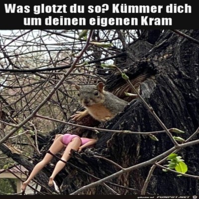 Glotzt-nicht-so.jpg von Brenda