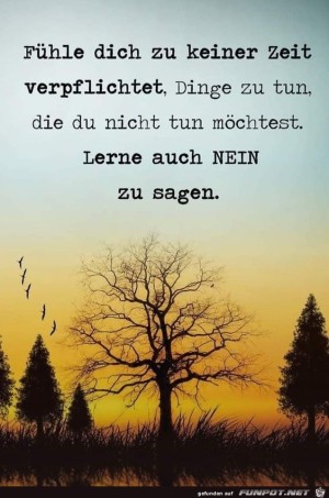 Fhle-dich-zu-keiner-Zeit-verpflichtet.jpg auf www.funpot.net
