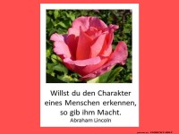 Willst du den Charakter