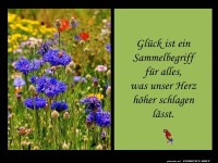 Gl�ck ist ein Sammelbegriff