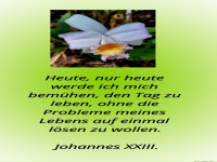 heute,nur heute werde ich mich bemhen