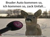 Reh-Reporter bereit fr die Schlagzeilen!