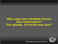 Was sagt eine erk�ltete Henne zum Osterhasen?