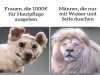 weiter