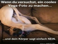 Yoga-Profi oder doch nur ein Spa�vogel?