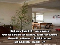 Sommerlicher Weihnachtszauber!
