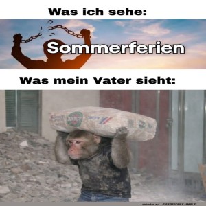 fun-Bild: Ferien oder Arbeitslager?