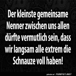 Kleiner-Nenner,-gro�e-Schnauze!.jpg von Queen40