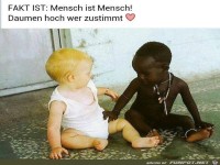 Fakt ist