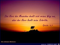 Sprueche 16 9