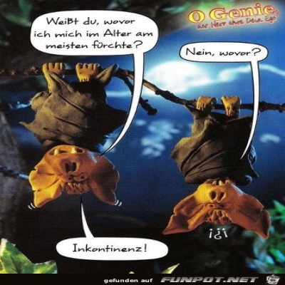Sorgen-einer-Fledermaus.jpg von Kruemel