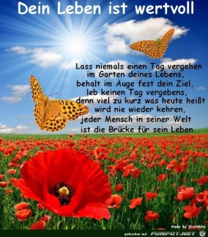 Dein-Leben-ist-wertvoll.jpg auf www.funpot.net