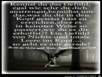 Kennst du das Gefuehl