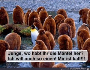 Jungs.jpg auf www.funpot.net