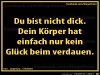 diegeilsten nicht dick