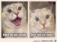 Jetzt weißt du Bescheid
