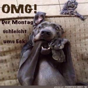 Begr&uuml;&szlig;ungsbild
