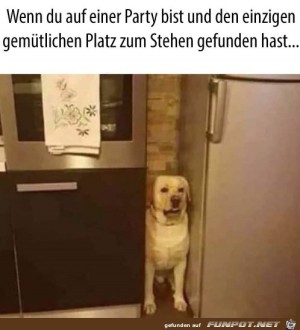 Guter-Platz.jpg auf www.funpot.net