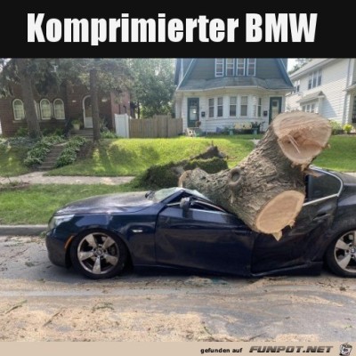 Bl&ouml;d-gelaufen.jpg von Matteo