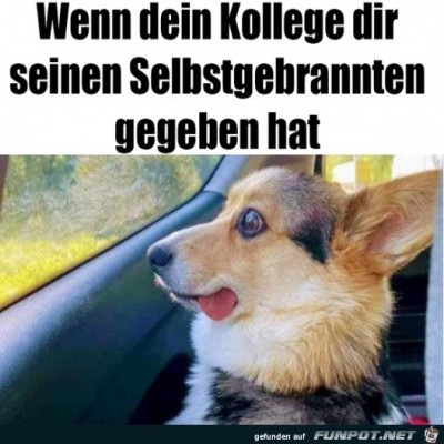 Krasses-Zeug.jpg von Mia