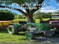 Brauchbare Grne