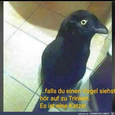falls-du.jpg von Fabioma