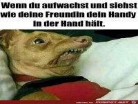 Das wird kein guter Tag