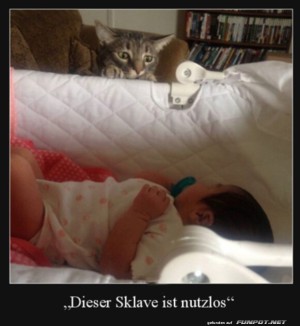 Nutzlos.jpg auf www.funpot.net